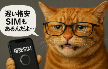 涙目で悔しそうな表情のメガネをかけた茶トラ猫が、読み込み中アイコンの出た「格安SIM」表示のスマホを握り、吹き出しで「遅い格安SIMもあるんだよ…」と訴えているイラスト。