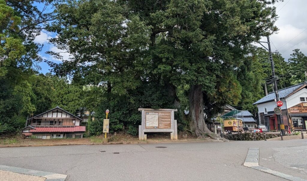 福井県の山間部にある観光地の一角を写した風景写真。画面中央には大きな案内板と巨木が立ち、その奥には茅葺き風の古民家や木造の建物が見える。右手には観光施設や店舗らしき建物も確認でき、道沿いにのぼり旗や標識が設置されている。自然と伝統的な街並みが調和した、静かな地域の雰囲気を伝える構図。

