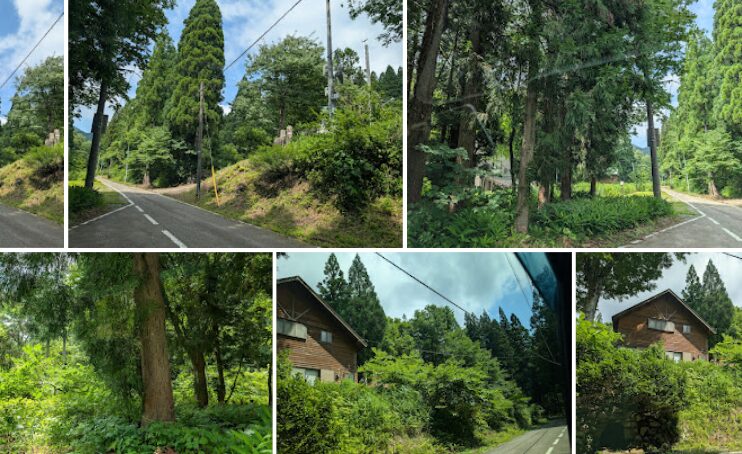 国道416号線の林道区間。石川県小松市新保町という山奥の集落。近くには中田養魚場がある。
山間部の林道沿いを撮影した6枚の写真。杉や広葉樹が生い茂る中を細い舗装路が続き、木造家屋も点在する。緑が濃く、夏の山里らしい静かな雰囲気が漂う風景。
